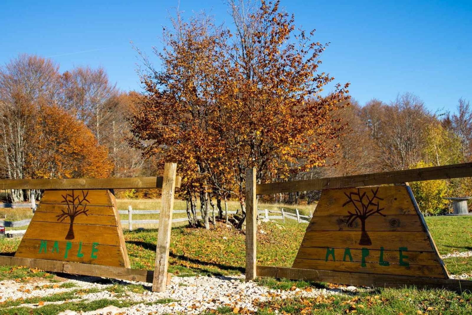 Maple Bungalows جابلياك المظهر الخارجي الصورة